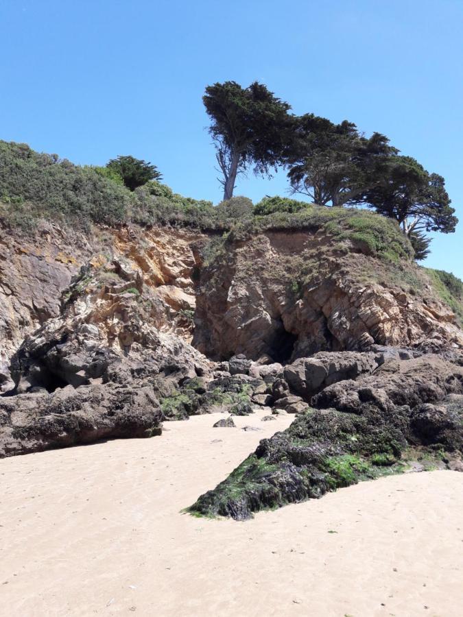 Le Studio Du Ris Douarnenez Esterno foto